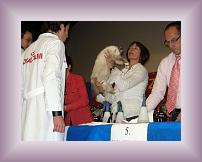 IMG_3028 * 600 x 450 * (170KB)