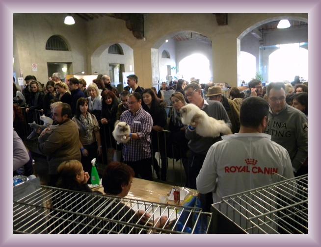 Foto successiva