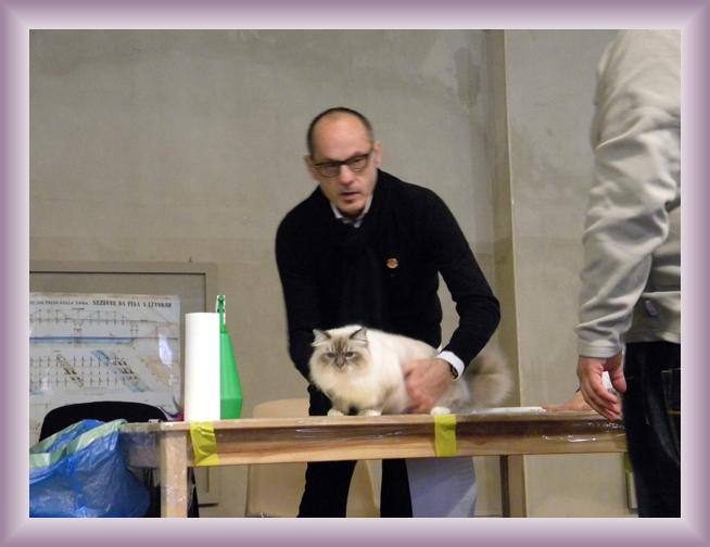 Foto successiva
