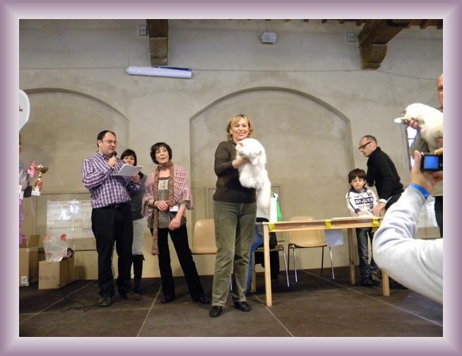 Foto successiva