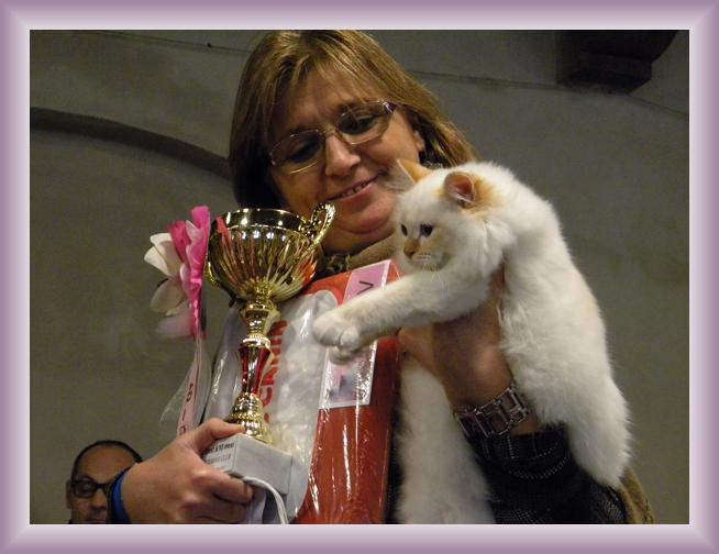 Foto successiva