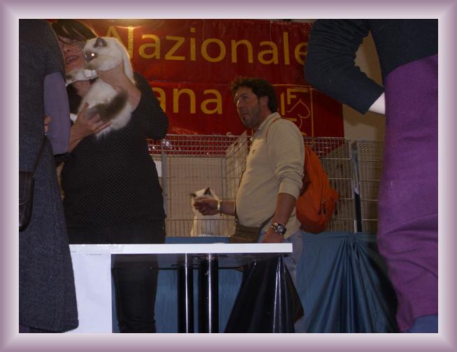 Foto successiva