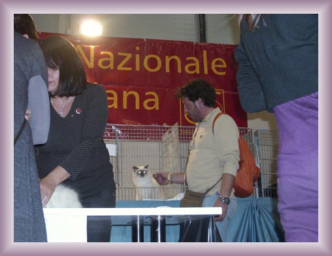 Sei già all'ultima foto