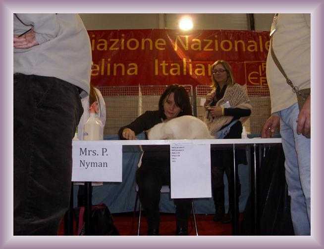 Foto successiva