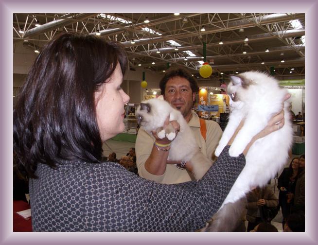 Foto successiva