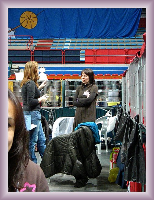 Foto successiva