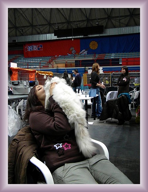 Foto successiva