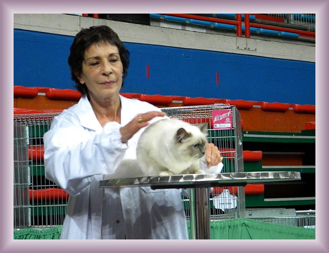 Foto successiva