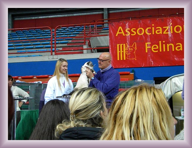 Foto successiva