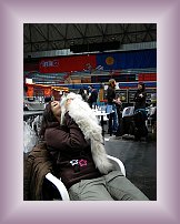 DSCN0192 * 600 x 800 * (347KB)