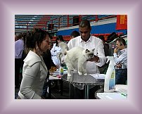 DSCN0252 * 600 x 450 * (238KB)