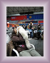 FSCN0212 * 600 x 800 * (379KB)