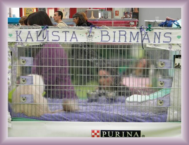 Foto successiva