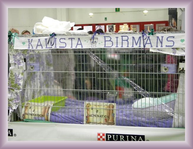 Foto successiva