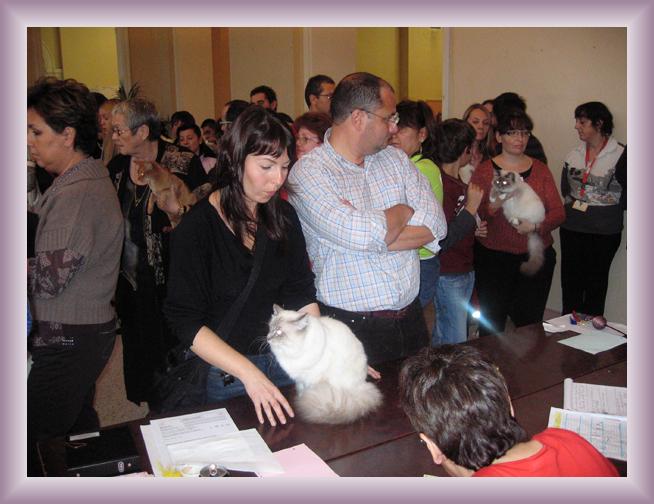 Sei già all'ultima foto