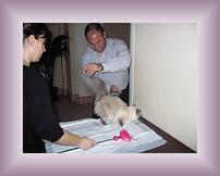 IMG_0001 * 600 x 450 * (279KB)