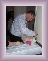IMG_0002 * 600 x 801 * (502KB)