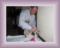 IMG_0003 * 600 x 450 * (284KB)