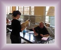 IMG_0010 * 600 x 458 * (322KB)
