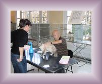 IMG_0011 * 600 x 465 * (347KB)