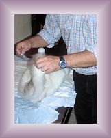 IMG_0017 * 600 x 800 * (493KB)